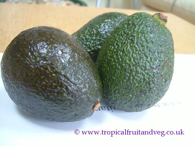images/avocado3.jpg