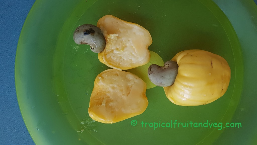 images/cashewcut.jpg