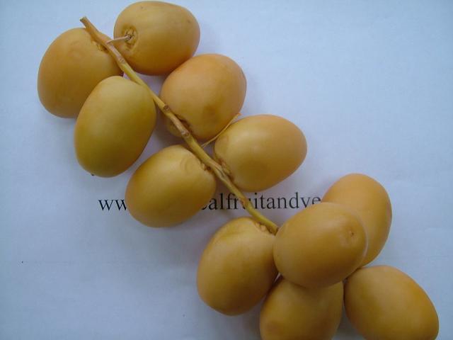 images/datefruit2.jpg