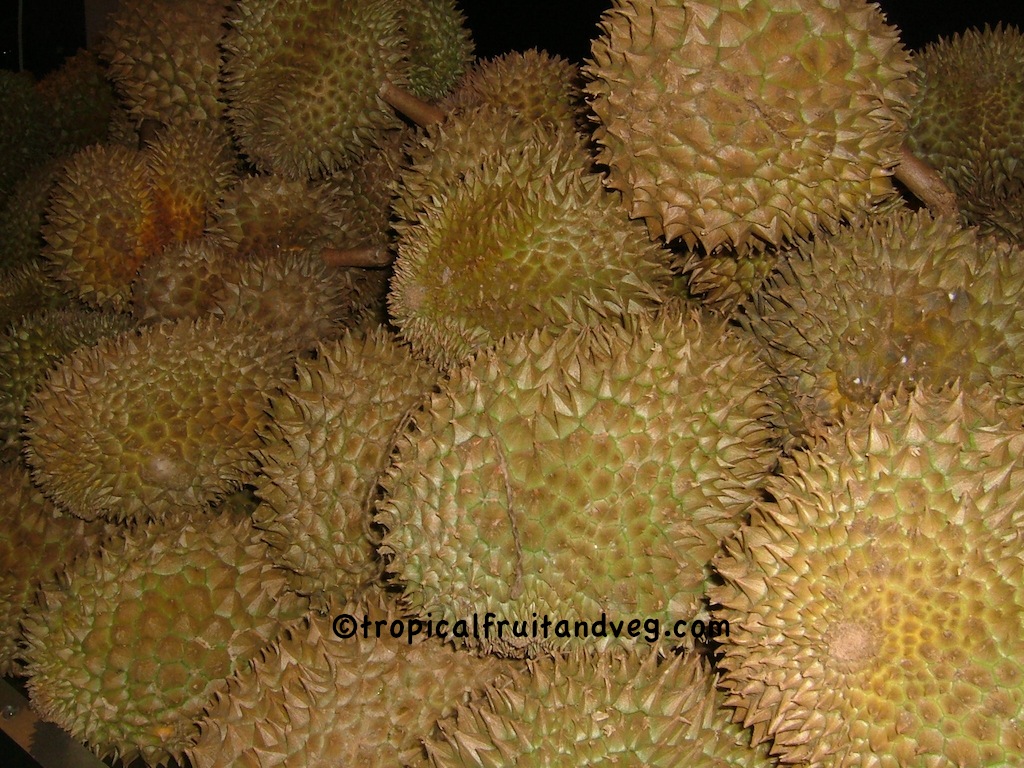 images/durian.jpg