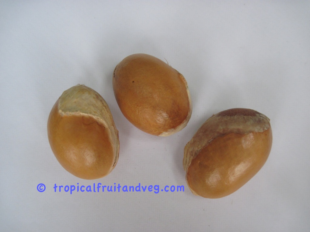 images/durianseeds.jpg