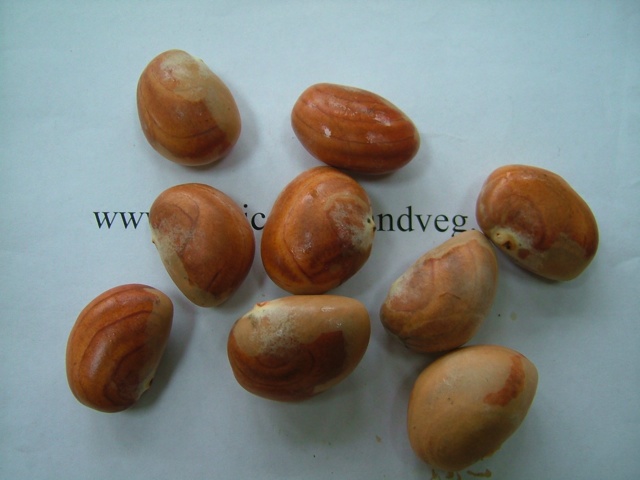 images/jackseed.jpg