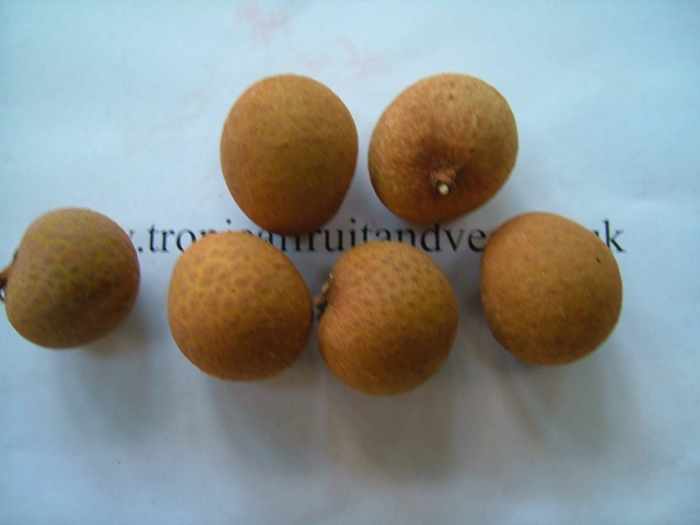 images/longanfruit.jpg