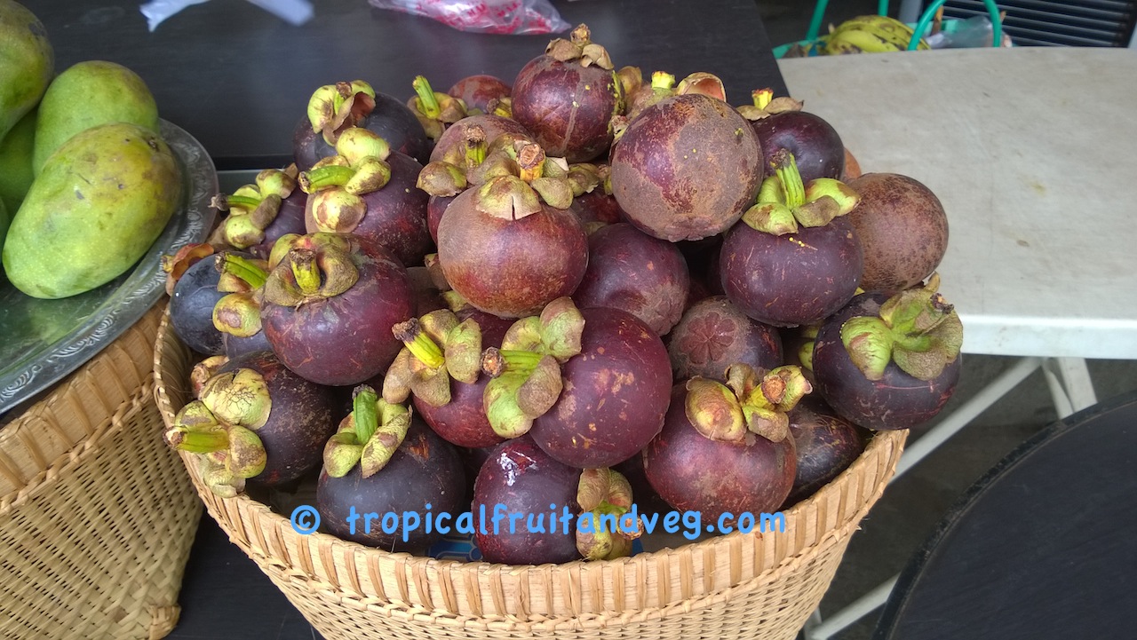 Mangosteen