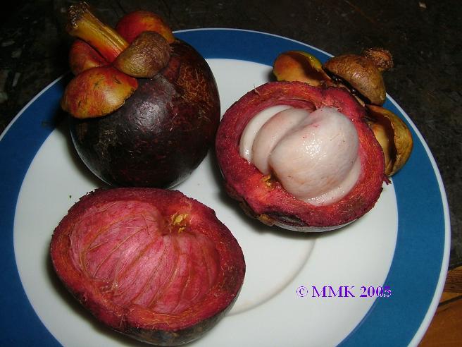 images/mangosteen1.jpg