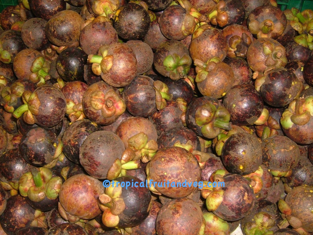 images/mangosteen2.jpg