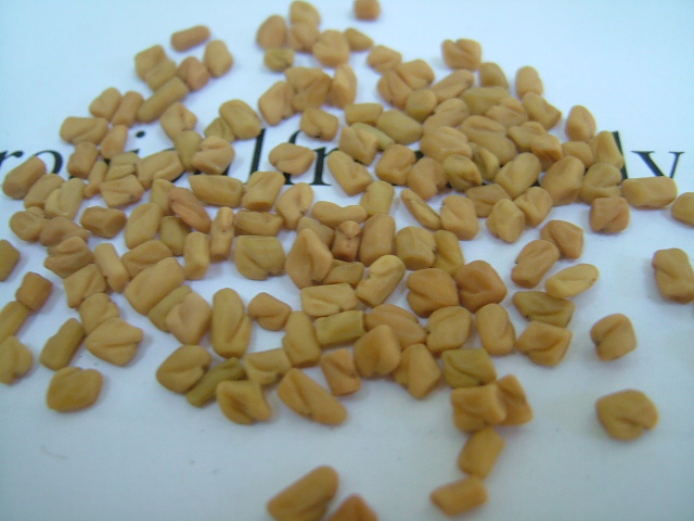 images/methiseed.jpg