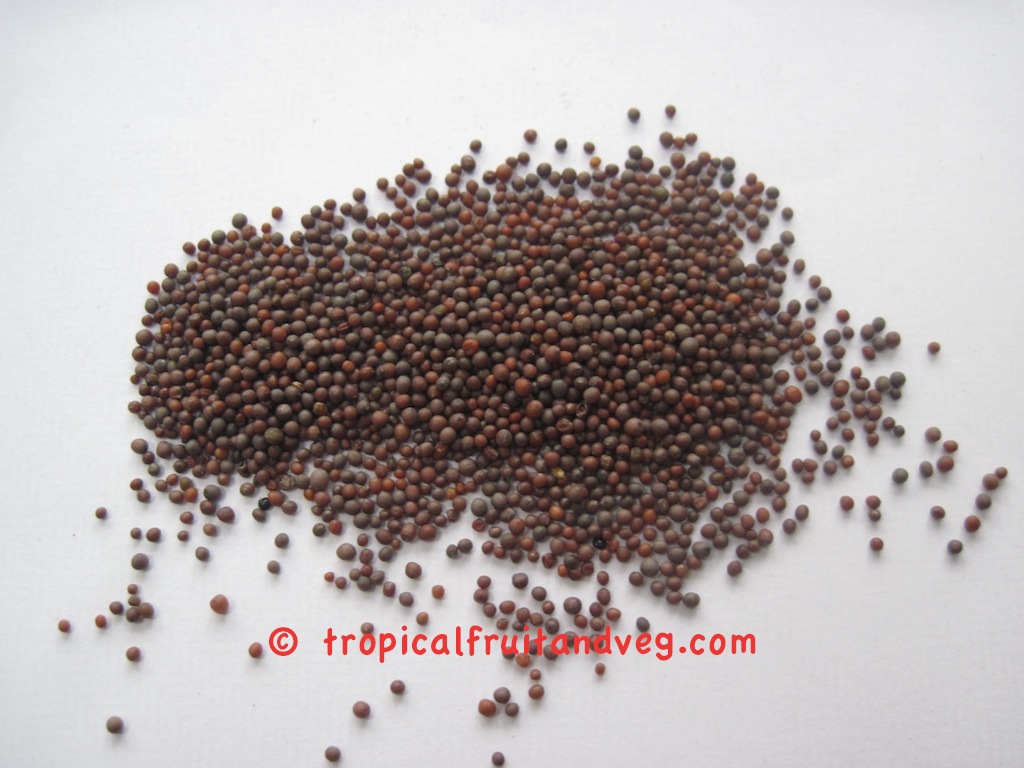 images/mustardseeds.jpg