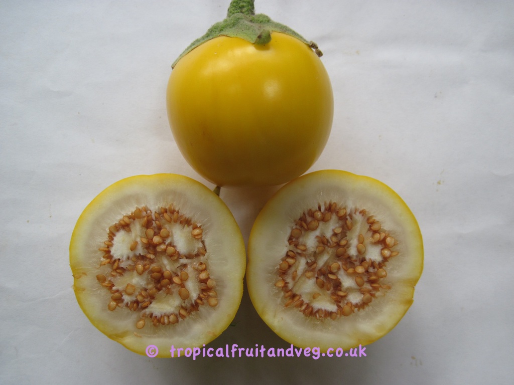 images/naranjilla.jpg