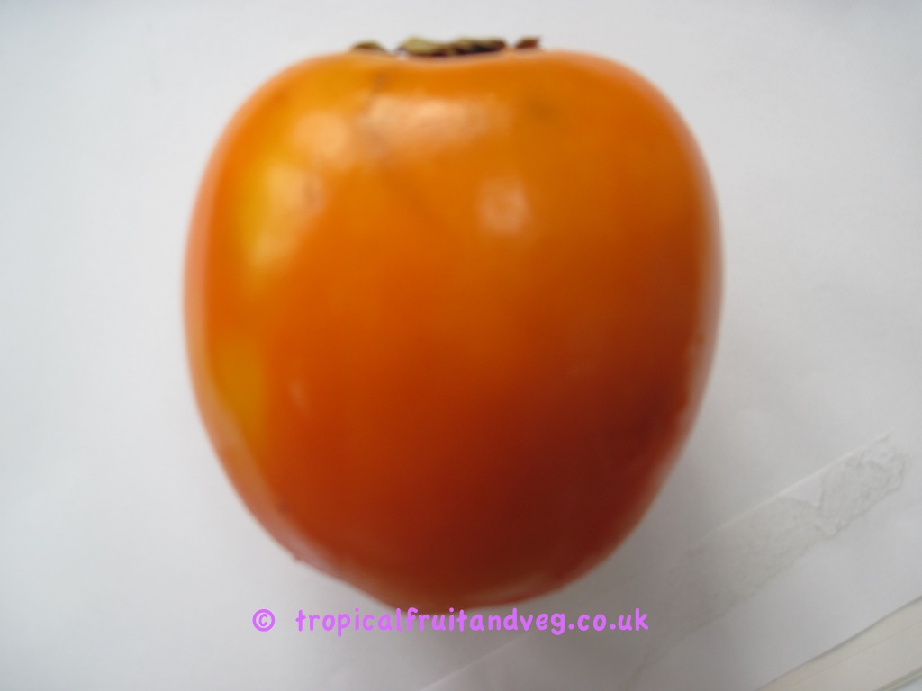 images/persimmon2.jpg