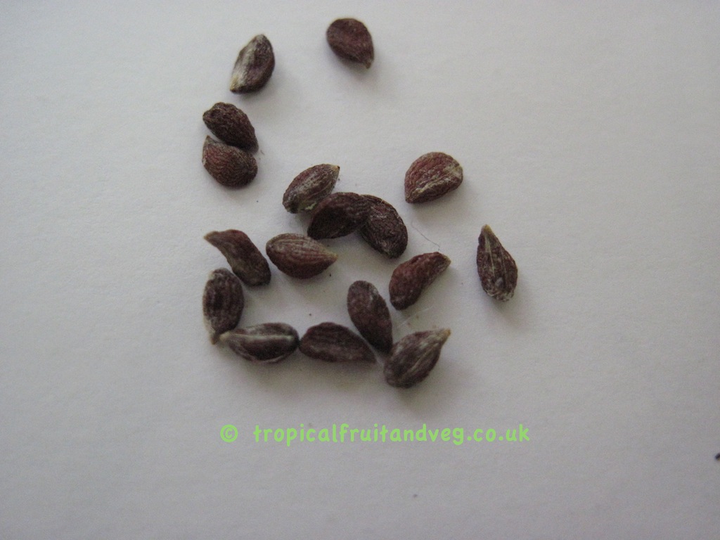 images/pineappleseeds.jpg