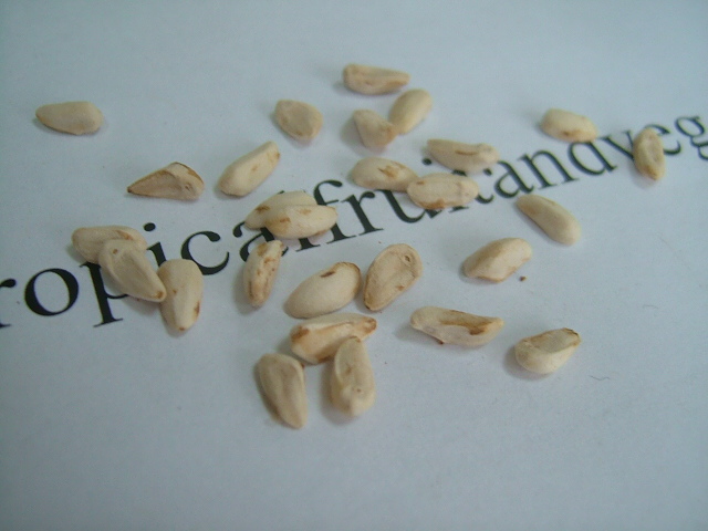 images/pomeseed.jpg