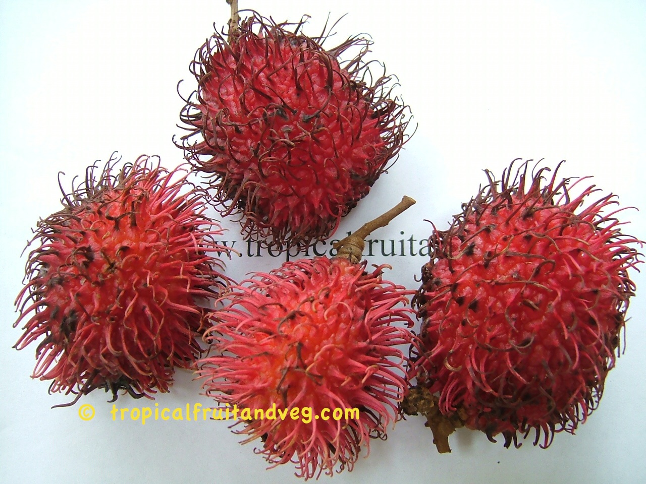 Rambutan image