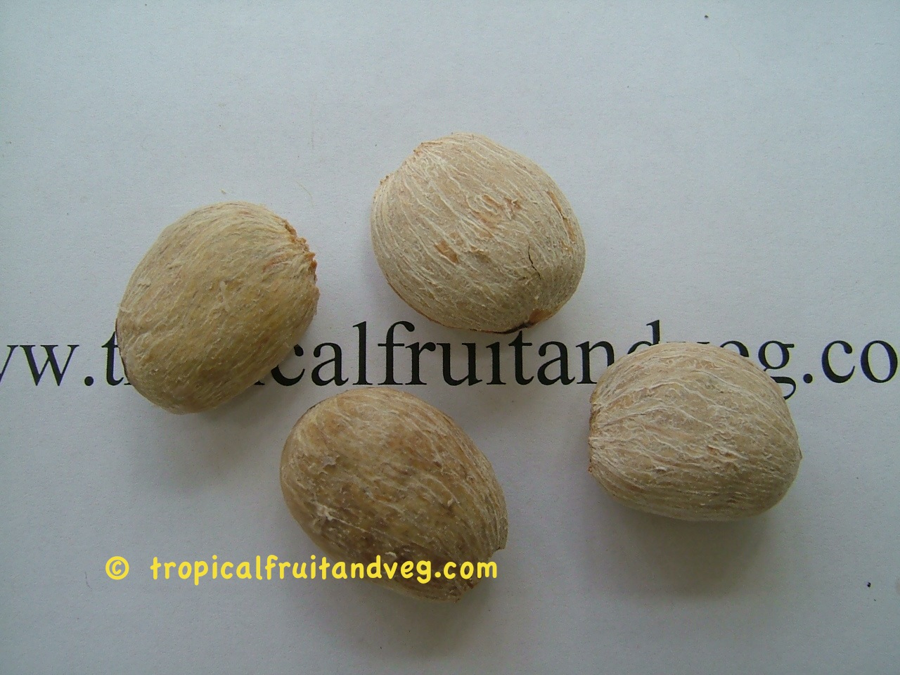 images/rambutanseed.jpg