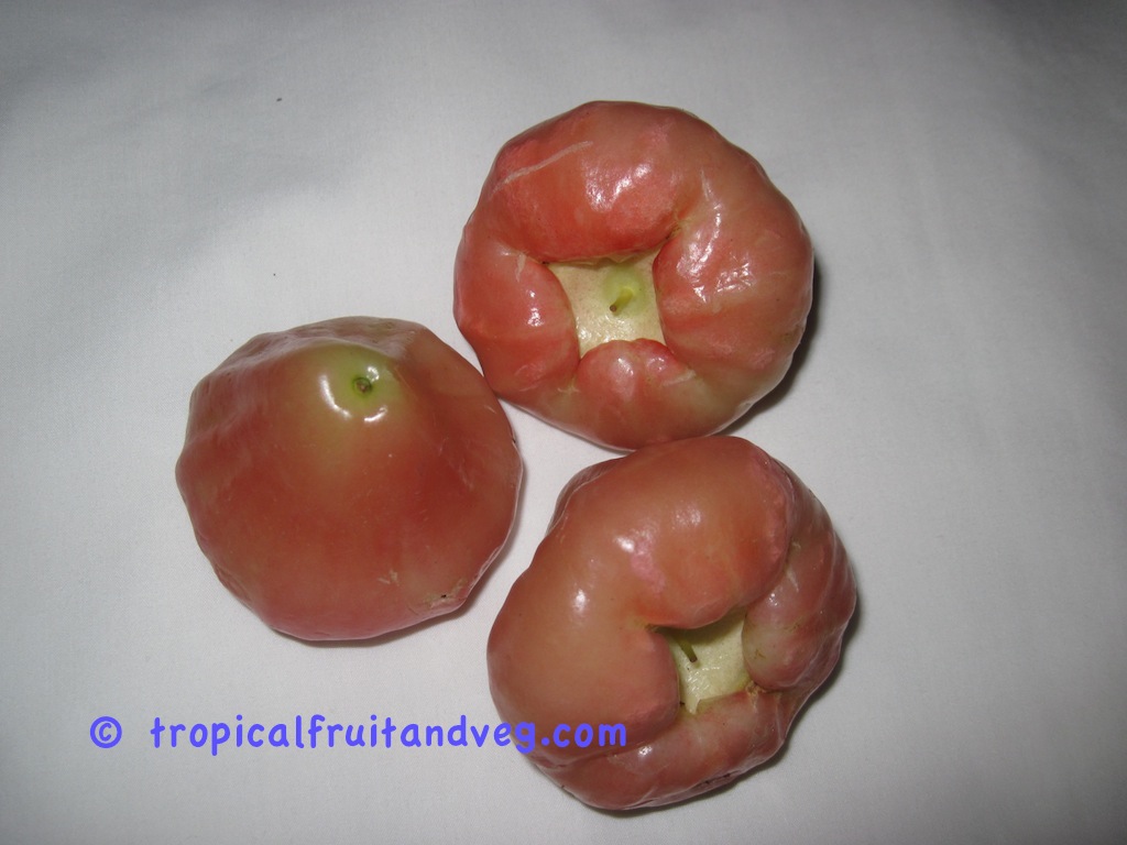 images/roseapples.jpg