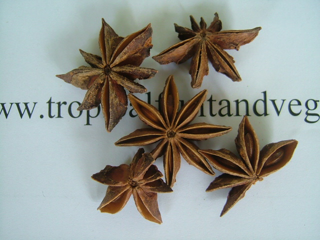 Star Anise image