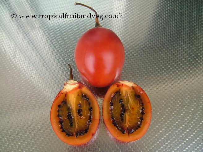 Tamarillo