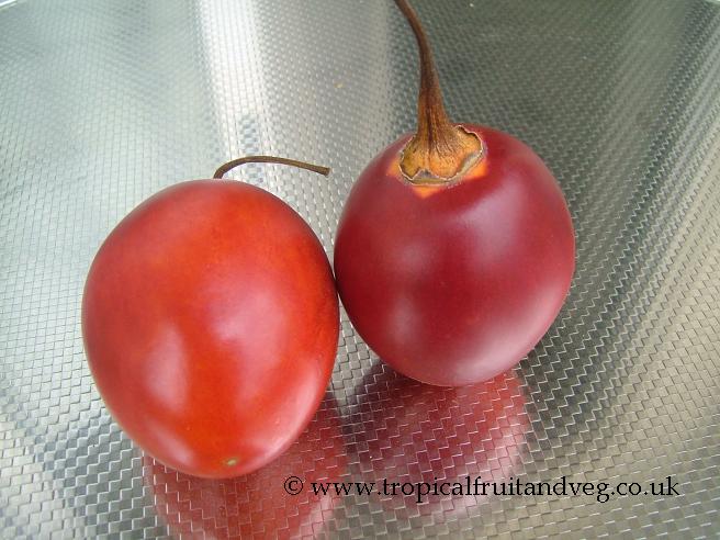images/tamarillo2.jpg
