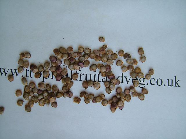 images/tamarilloseeds.jpg