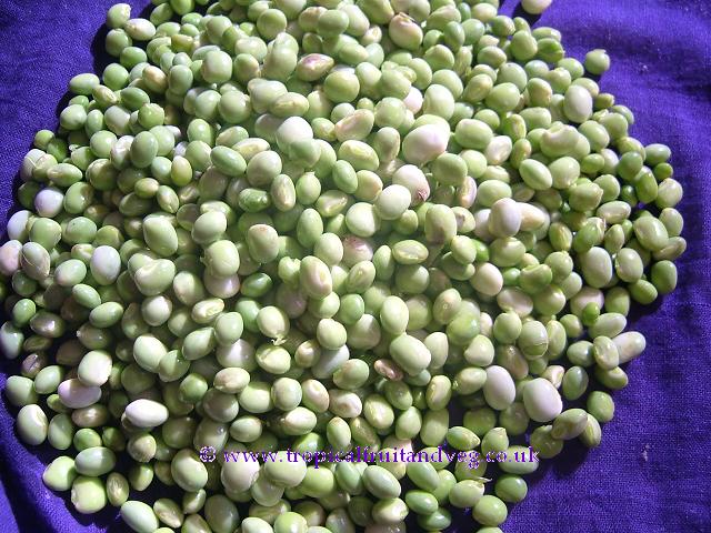 images/tuarseeds.jpg